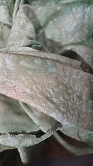 Material Elastic Degrade Verde/Bej cu model in relief  ELA1366